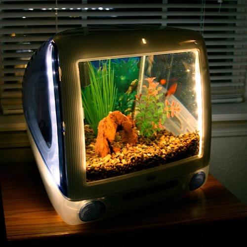 Mac Aquarium