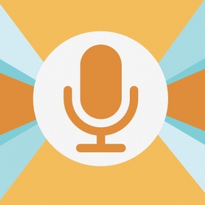 voice commands